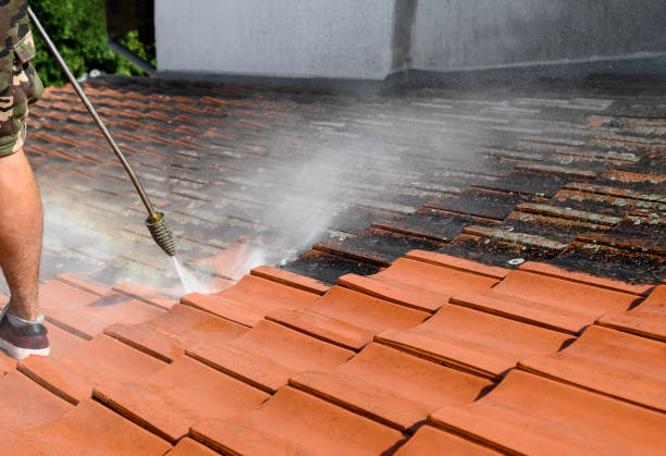 Best Local Pressure Washing Services  in Lochearn, MD