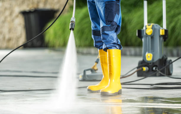 Best House Pressure Washing  in Lochearn, MD
