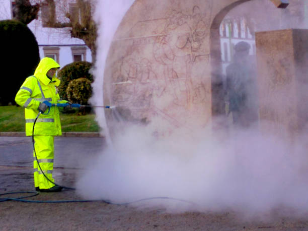 Best Residential Pressure Washing Services  in Lochearn, MD